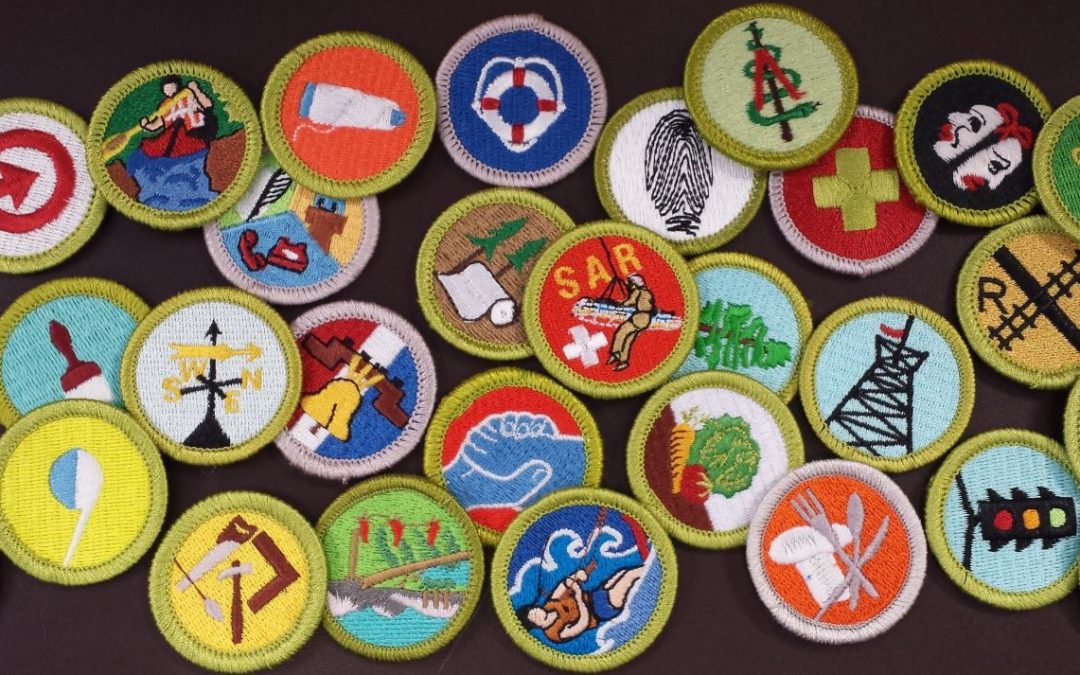NEW Merit Badge Counselor Night on Zoom Sunday At 7