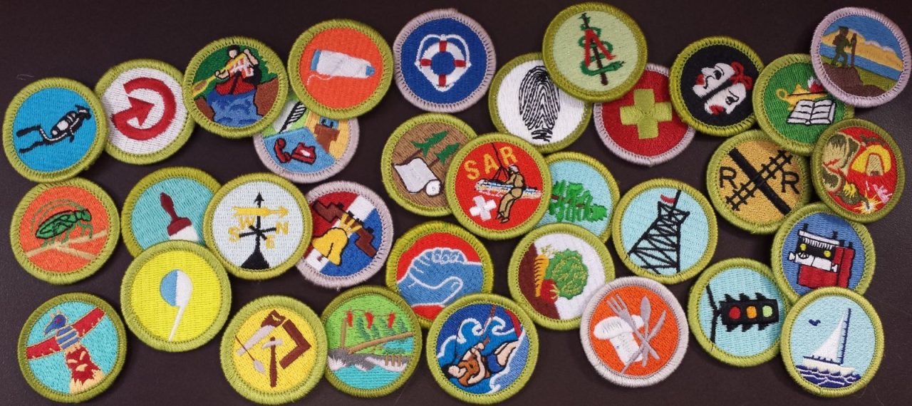 NEW Merit Badge Counselor Night on Zoom Sunday At 7 NEGA Mountain
